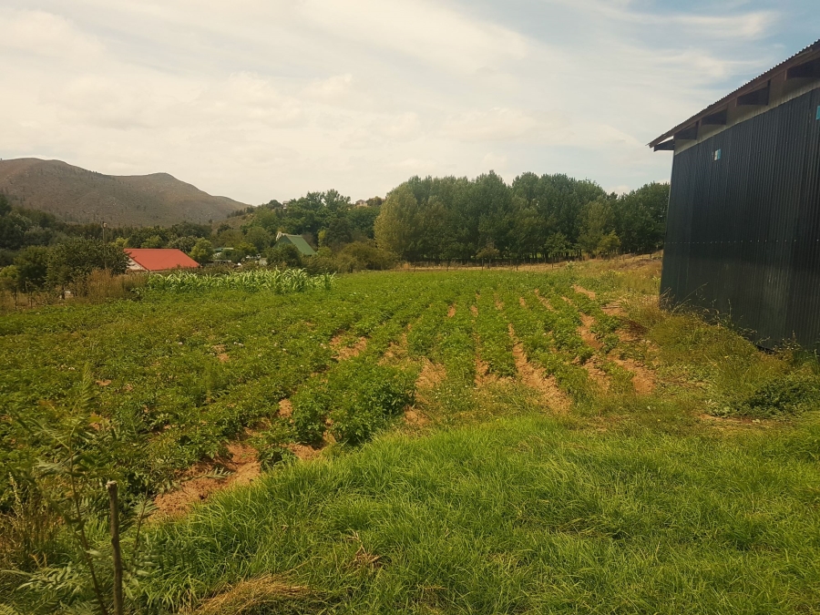 Commercial Property for Sale in Haarlem Western Cape